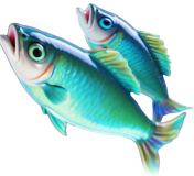 Dra på fisketur